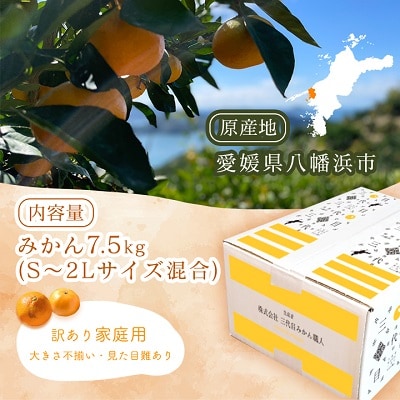 三代目がつくる愛媛みかん 7.5kg【訳あり(家庭用)】【C31−17】【1120067】