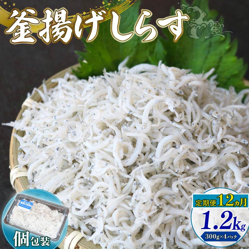 【ふるさと納税】 定期便12回 釜揚げしらす 1.2kg シラス しらす ちりめん じゃこ かちり 小魚 魚貝 魚貝類 海鮮 釜揚げ ごはん 丼 魚 料理 しらす丼 シラス丼 高知県 南国市