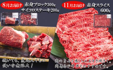 4回 定期便 宮崎牛 赤身 全4回 合計1.8kg [レグセントジョイラー 宮崎県 美郷町 31bb0028] ステーキ 焼肉 ブロック サイコロ カット 角切り スライス 薄切り うす切り 冷凍 送