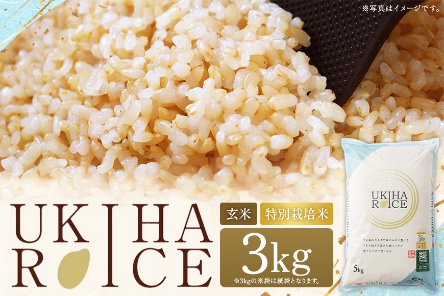 
                  【ふるさと納税】玄米 ひのひかり UKIHA RICE 3kg 特別栽培米 ヒノヒカリ 令和7年産 米 こめ ご飯 コメ ごはん ヘルシー 送料無料 国産 国産米 福岡 返礼品 お弁当 家庭用 ギフト プレゼント 仕送り お取り寄せ うきは市 株式会社みずほファーム
                