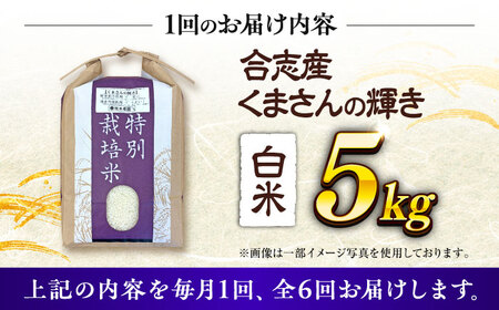 6回定期便R7年度くまさんの輝き白米5kg 計30kg白米5キロAYCC029