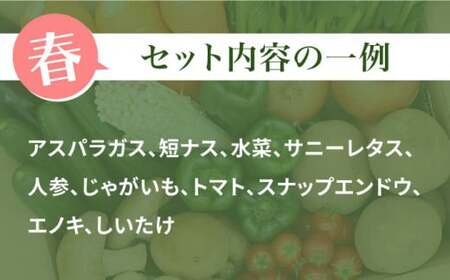 【6回定期便 偶数月コース】野菜 キノコ 果物 11品目 詰め合わせ  当日仕入れ当日発送！ / 野菜 定期便 / 吉岡青果 [SCZ006] 