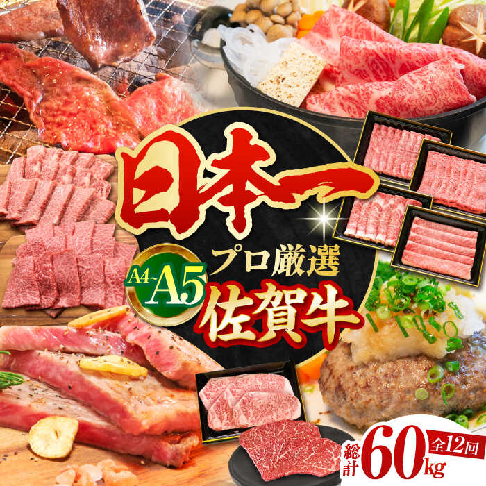 【ふるさと納税】【全12回】佐賀牛 贅沢定期便【田中畜産牛肉店】 [HBH045]