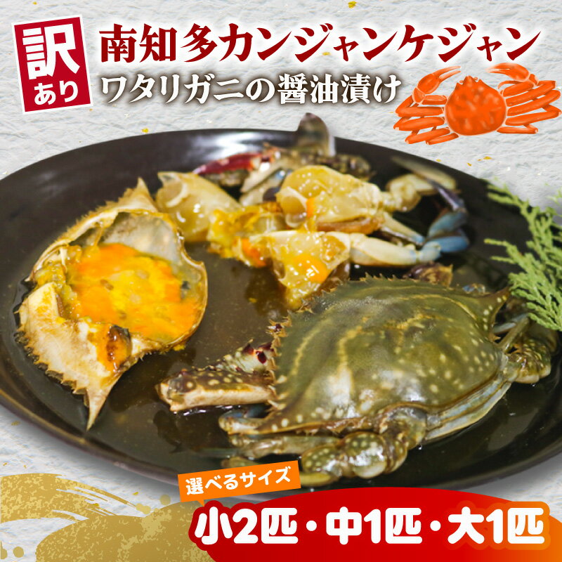 【ふるさと納税】 選べる サイズ 訳あり 南知多カンジャンケジャン カンジャンケジャン 大中小 ワタリガニの醤油漬け 魚介 魚介類 ワタリガニ 渡蟹 蟹 新鮮 グルメ カニ お米 に合う コメ に合う こめ に合う ご飯 のお供 おすすめ 韓国料理 韓国グルメ 愛知県 南知多