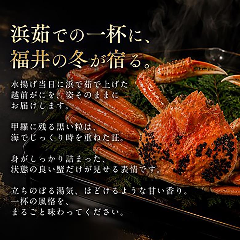 【先行予約/11月18日より順次配送】【訳あり】越前がに 900g×2杯 茹で 福井県産ズワイガニ 脚折れ・欠け / かに カニ 蟹 越前ガニ ズワイガニ ボイル / 小浜市 / 一進わかさ【配送不可