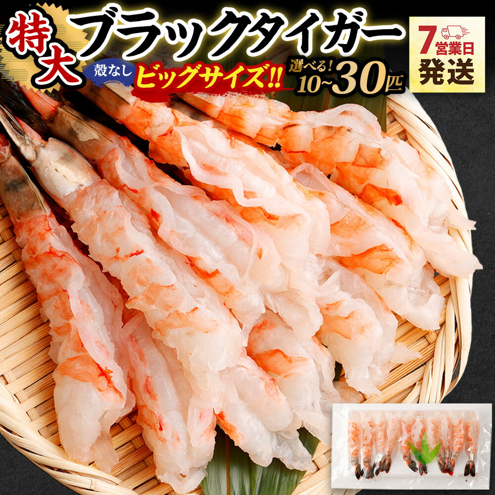 【ふるさと納税】 【選べる容量】特大ブラックタイガー（殻なし）ビッグサイズ 10匹 / 20匹 / 30匹【入金確認後7営業日程度で発送】 ｜ ブラックタイガー 冷凍エビ 特大エビ 海老 殻剥き エビフライ 天ぷら エビチリ お取り寄せ 訳あり ギフト 大阪府 阪南市