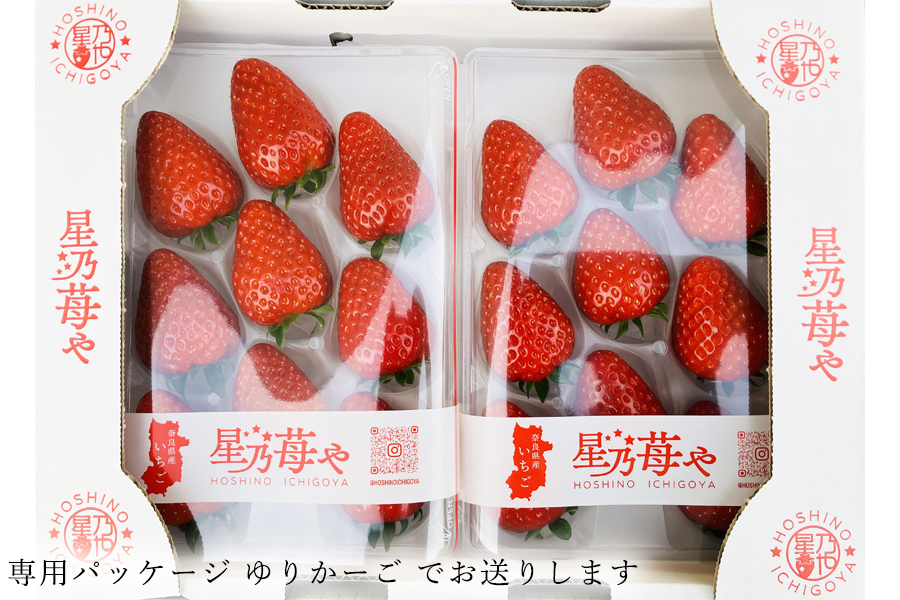 【先行予約】【古都華】2パック 2026年2月発送 ///苺 いちご イチゴ ストロベリー  古都華 奈良 奈良県 広陵町 生産者直送  直送 厳選 数量限定 旬 フルーツ 甘い 完熟 果物