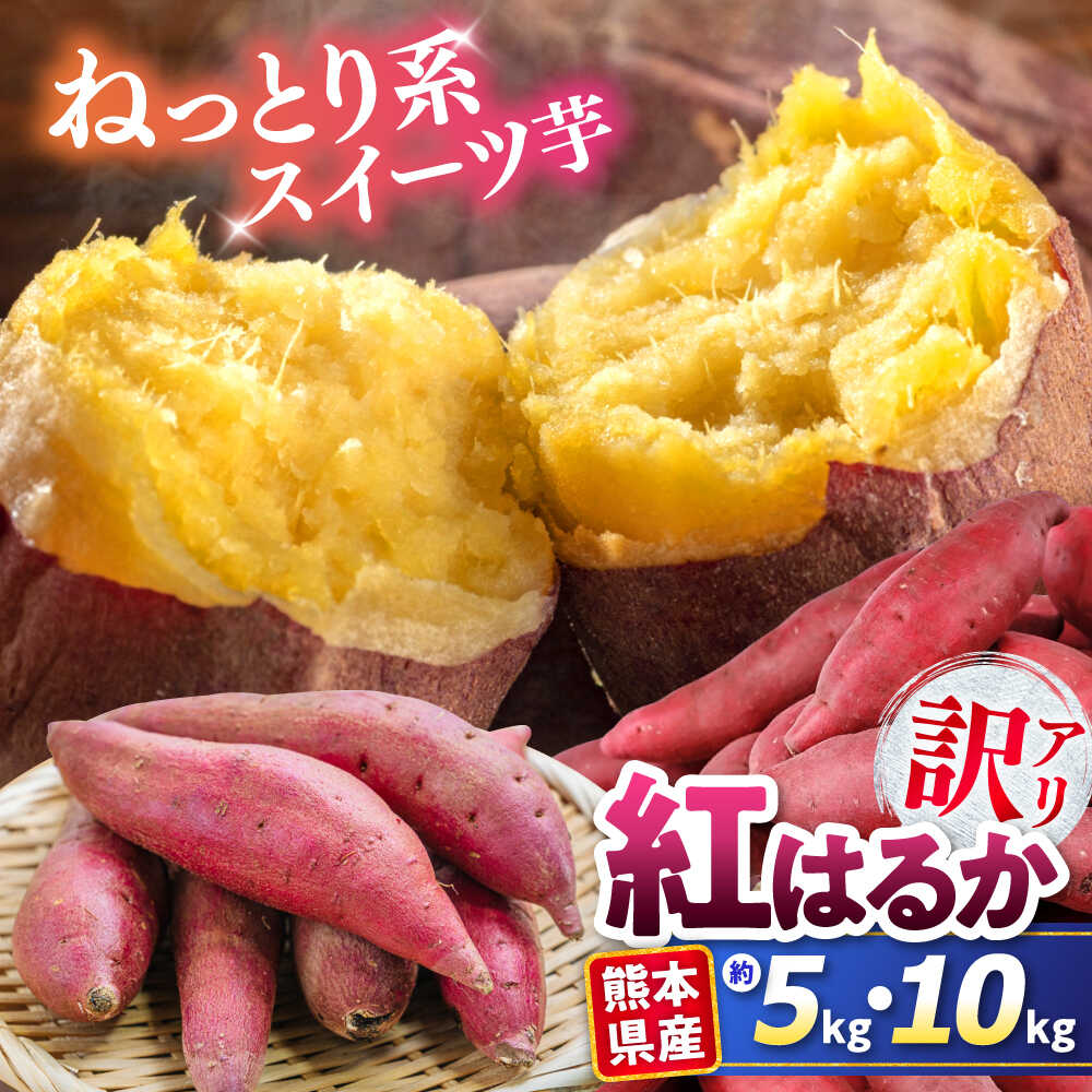 【ふるさと納税】《選べる容量！》【訳あり】 紅はるか 約5kg・約10kg 2S〜3Lサイズ混合 ねっとり 甘い 芋 いも サツマイモ さつま芋 べにはるか 甘藷 唐芋 完熟 熟成 焼芋 焼き芋 焼きいも やきいも スイーツ 熊本県 合志市 送料無料【株式会社 Foody’s】[AYAT003]