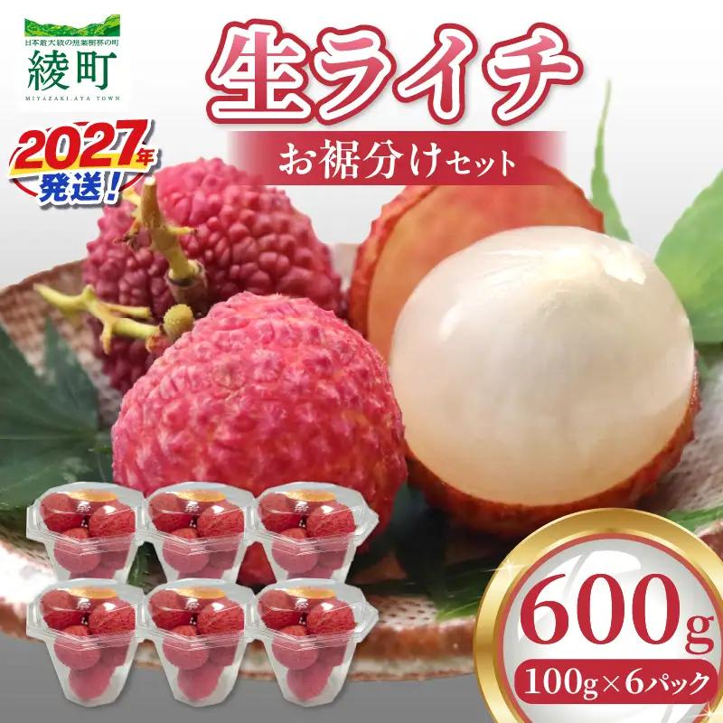 先行予約 数量限定 希少 綾生ライチ お裾分け セット 600g 果物 フルーツ くだもの 国産ライチ 2027年 トロピカルフルーツ 南国フルーツ 冷蔵 ジューシー 高級 デザート ギフト 贈り物 プレゼント ご褒美 おすすめ 宮崎県 送料無料 【JA綾町】_A0114-1053
