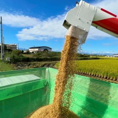 ふるさと納税 羽島市 【栽培期間中:農薬・化学肥料不使用】岐阜県羽島市産 初霜(ハツシモ)精米5kg |  | 03