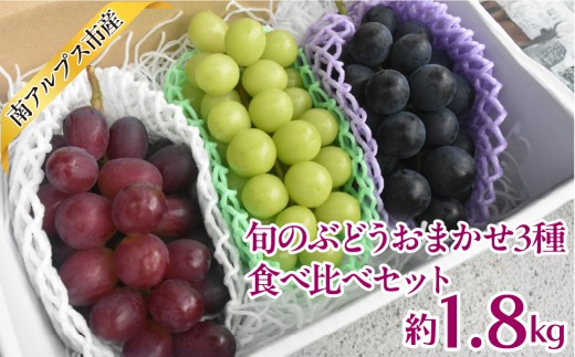 【2026年度先行予約】旬のぶどうおまかせ3種食べ比べセット　1.8kg ALPAJ071 | 令和8年度発送　シャイン　シャインマスカット　葡萄　ぶどう　食べ比べ　新鮮　果物　くだもの　採れたて　ギフト　贈答　プレゼント　南アルプス市　山梨 |