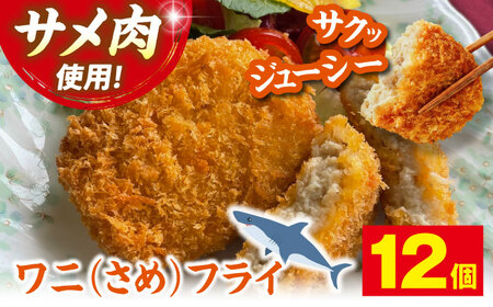 ワニフライ 12個 [APAD011] フライ