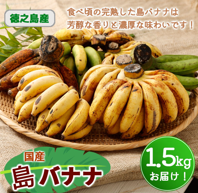 【鹿児島県天城町】【2026年発送】徳之島 子宝バナナ 1.5kg 島バナナ バナナ AL-6-N マイナビ