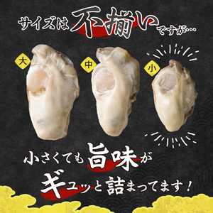 【2026年3月上旬発送】宮原水産 かき むき身 800g 冷蔵 国産 広島県産 牡蠣 かき 生かき 生牡蠣 お取り寄せ 送料無料 広島県 呉市 ku005-005-03-1-25