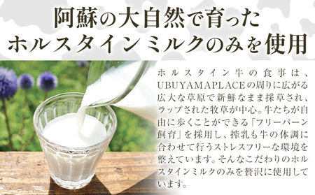 ホルスタインミルク 100％ 使用 産山ヨーグルト15個 株式会社UBUYAMAPLACE《30日以内に出荷予定(土日祝除く)》熊本県 阿蘇郡 産山村 ヨーグルト 乳製品 ホルスタイン 朝食 おやつ 