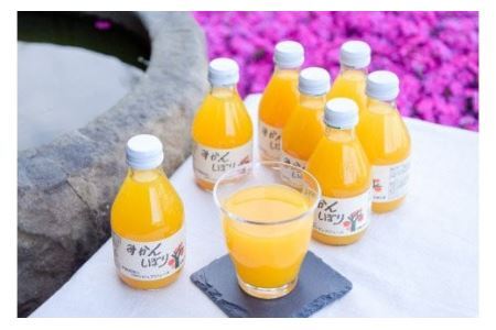 伊藤農園 100%ピュアジュース飲み比べ180ml×15本セット（B222-4）