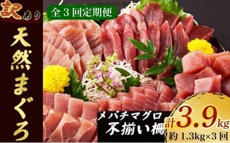 【定期便3回】天然メバチマグロ訳あり約1.3kg【3回定期便マグロマグロマグロマグロ】