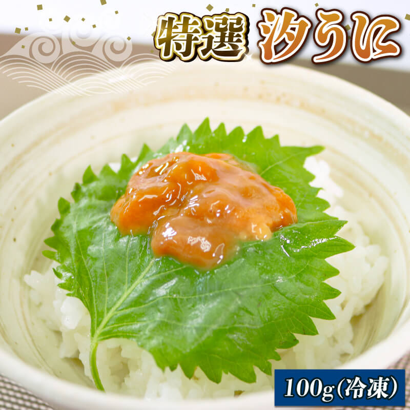 【ふるさと納税】 三陸産 汐うに 100g 特選 潮うに 塩うに 岩手県産ウニ 三陸産ウニ ウニ丼 魚介 海産物 海の幸 うに丼 刺身 惣菜 加工品 ご飯のお供 ウニ 国産 岩手県産 1万円 10000円