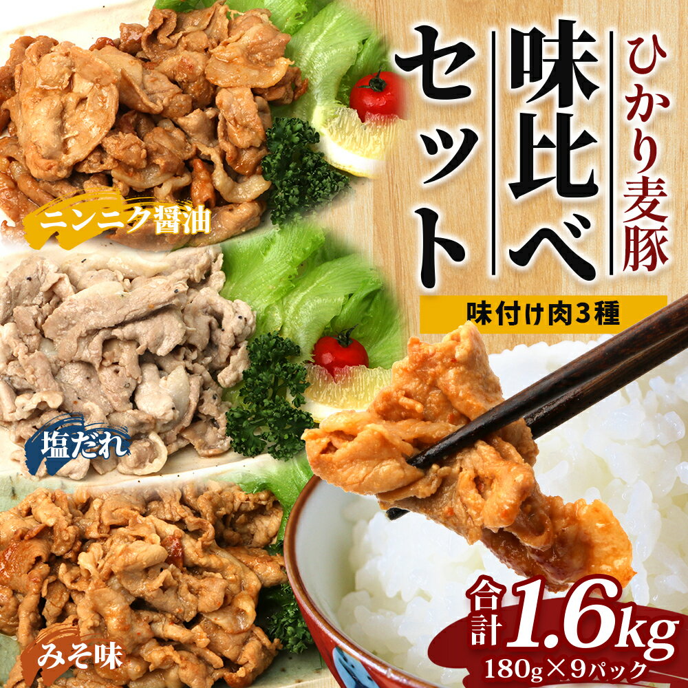 【ふるさと納税】鹿児島県産 ひかり麦豚 味比べセット ≪味付け肉≫ 計1.6kg （180g×9パック）みそ 塩だれ ニンニク醤油 トレーなし 冷凍 HM-4 | 肉 お肉 にく 豚肉 味噌味 塩ダレ 解凍して焼くだけ 真空冷凍 新鮮 小分け おかず 産地直送 鹿児島県 南大隅町 ひかり麦豚直