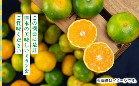 【先行予約】極早生みかん 約10kg　2S〜2Lサイズ　【くまふる】[ZBG054]