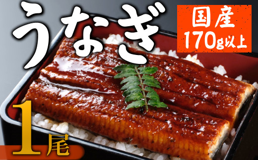
                  【数量限定】海土のうなぎの蒲焼き　１尾 ウナギ 鰻 惣菜 冷凍 おかず 13000円 魚介 訳あり
                