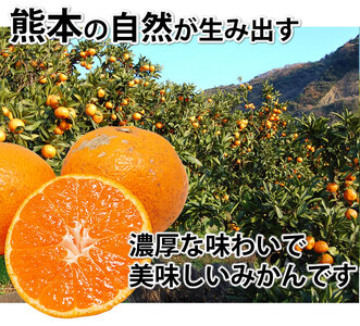 先行予約 みかん 秀品 10kg【2026年10月上旬～2027年1月下旬までに発送予定】柑橘 フルーツ 果物 くだもの 贈答用 ギフト