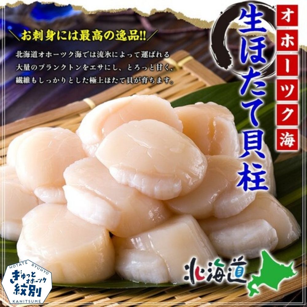 31-12 【甲羅組】ほたて貝柱 大型サイズ １ｋｇ