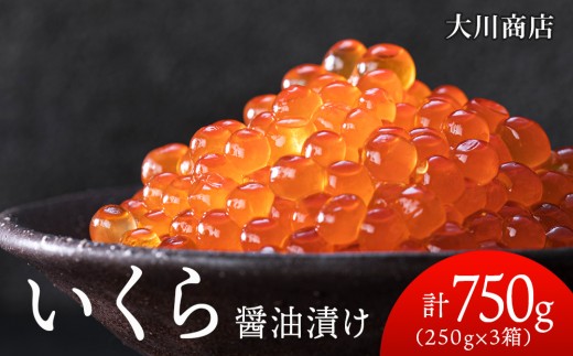 9月30日受付終了いくら醤油漬け250g3箱＜大川商店＞