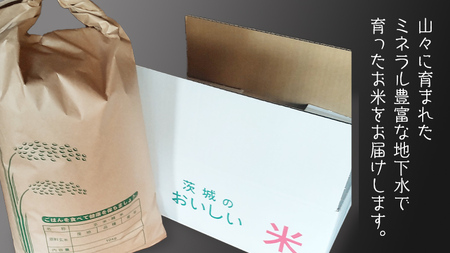 令和8年産 米 コシヒカリ 精米 10kg (茨城県共通返礼品 かすみがうら市) [DH020sa]