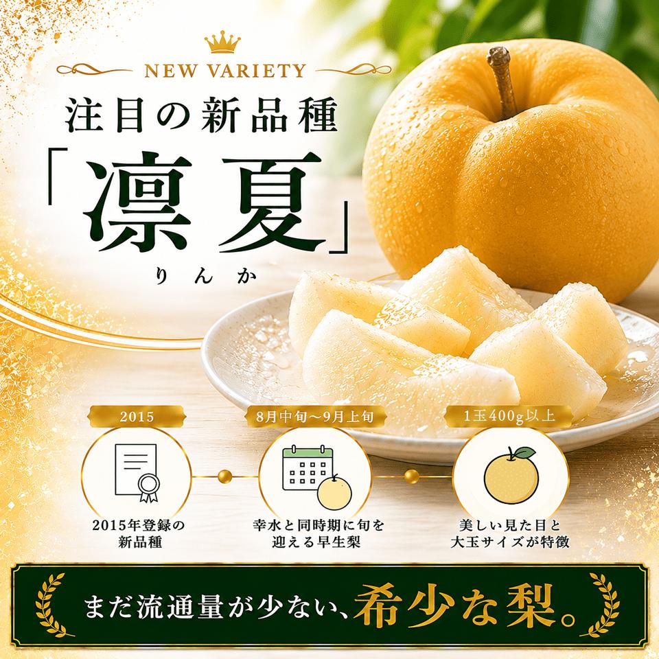 【2027年8月中旬ごろ～発送予定】＜梨 凛夏りんか 約3kg 4～7玉＞ なし フルーツ fruit 高知県 佐川町 黒岩梨生産者組合 【期間・数量限定】