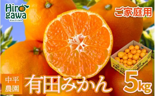 大好き みかん 5kg ご家庭用 サイズ混合 / 温州みかん 有田みかん 甘い 柑橘 和歌山 ※2026年11月中旬頃より2027年1月中旬頃に順次発送予定 【nkh004-c-5】