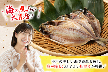6回 定期便 魚 惣菜 平戸 干物 詰め合わせ 16種