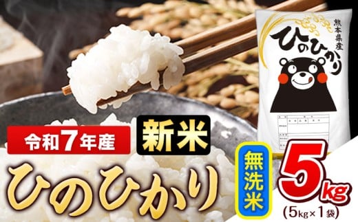 新米 令和7年産 無洗米 ひのひかり 5kg《10月中旬-12月末頃出荷》令和7年産 熊本県産 ふるさと納税 無洗米 精米 ひの 米 こめ ふるさとのうぜい ヒノヒカリ コメ お米 おこめ
