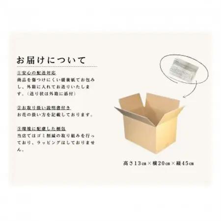 信州八ヶ岳の麓から贈るドライフラワースワッグS(イエロー)【1659308】