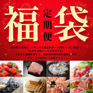 【定期便4回】真岡の グルメ 定期便 | 数量限定 いちご 苺 米 お米 簡単 プレゼント お土産 餃子 ぎょうざ ビック こしひかり 肉 お肉 サーロイン 焼肉 バラ A5 ランク 豪華 贅沢 栃木
