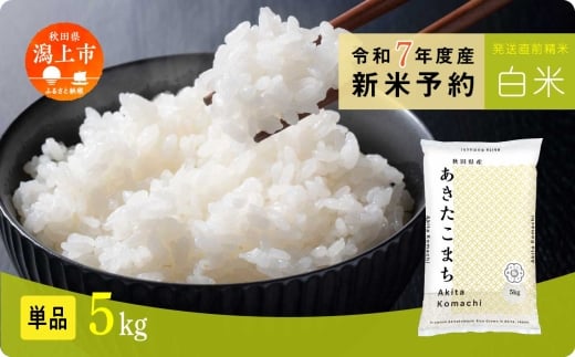 《先行予約》 白米 あきたこまち 令和7年産 5kg(5kg×1) 選べる 容量 5kg袋 小分け 米 グルメ ふるさと こめ コメ 一人暮らし  【秋田のこまち農場】