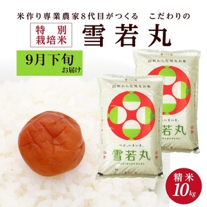 SA2068　9月下旬配送／令和6年産【精米】特別栽培米 雪若丸　10kg(5kg×2袋)「農家直送」 KA