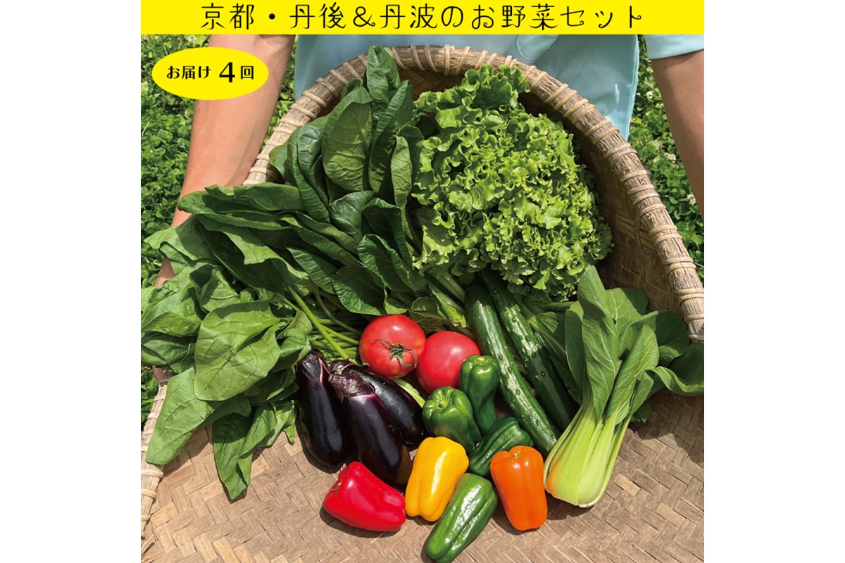 【定期便】合計4回お届け　有機野菜・京野菜の『京都やおよし』の京丹後・亀岡市お野菜詰め合わせ　※北海道、離島、沖縄地域への発送不可　AA00013