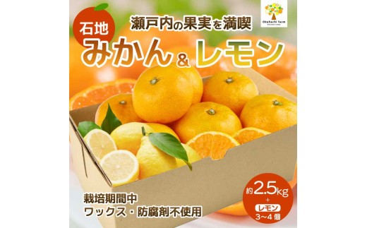 
                  【おくはち農園】石地みかん 2.5kg レモン3～4個《2026年12月発送予定》栽培期間中 防腐剤 ワックス 不使用 旬 柑橘 かんきつ フルーツ 果物 瀬戸内 166023
                