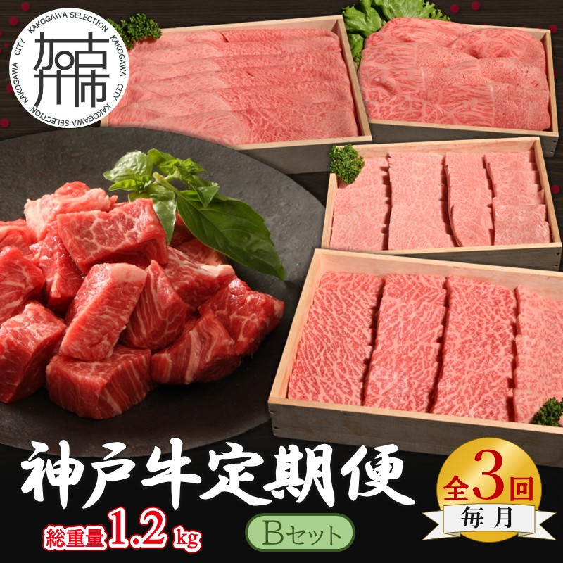 神戸牛定期便 B 【全3回】《 肉 牛肉 神戸牛 スライス肉 ももかた すき焼き 焼肉 ステーキ 計1.2kg 定期便 冷凍 》【2505A16918】