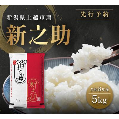 ふるさと納税 上越市 先行予約【10月中旬より順次出荷予定】令和8年産 新潟県 上越市産 新之助 5kg 白米 精米