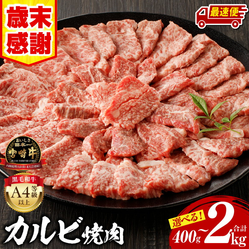 史上初内閣総理大臣賞4連覇* 宮崎牛 カルビ 焼肉・バーベキュー用 500g