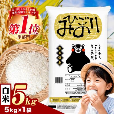 ふるさと納税 氷川町 ひごみのり 白米 熊本県産 ブレンド米 5kg《7-14日以内に出荷予定(土日祝除く)》