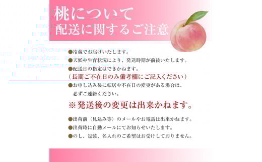 【先行予約】【市川三郷町産】プレミアム 桃6玉　【2025年7月中旬から発送】！Inakakara[5839-2019]