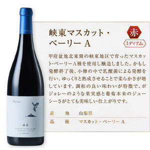 フジクレール 吟果マスカット・ベーリーA・峡東マスカット・ベーリーA 2本セット（MG）C1-670 【ワイン フジクレール 赤ワイン 甲州市 山梨県】