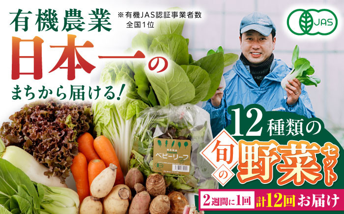 
【全12回隔週定期便】有機野菜 12種セット 野菜 詰め合わせ 熊本県産 山都町産 産地直送 オーガニック【株式会社 肥後やまと】[YAF006]

