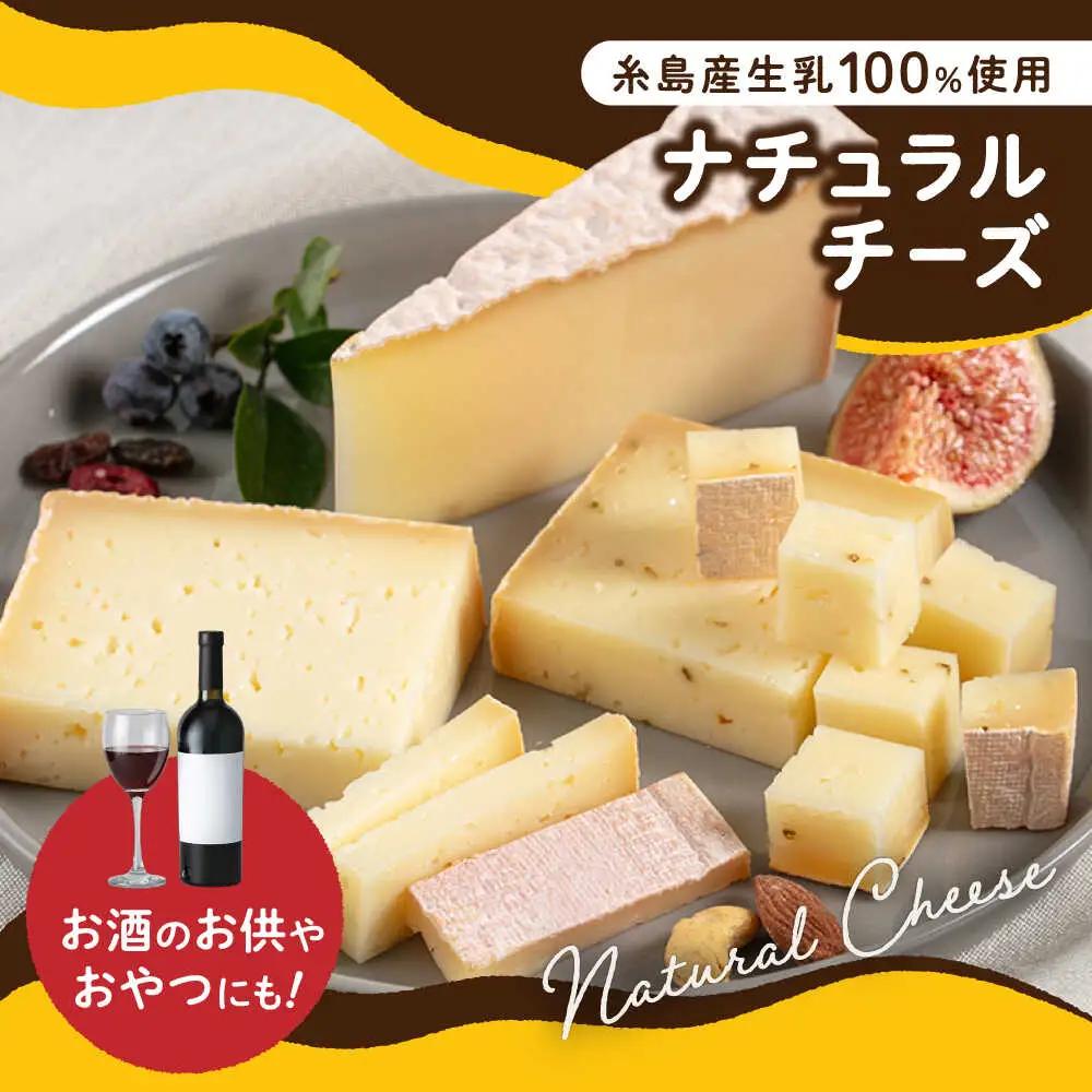 【全6回定期便】糸島産 生乳 100％ 使用 手作り 熟成 チーズ 5種 食べ比べ セット 糸島市 / 糸島ナチュラルチーズ製造所TAK-タック- [AYC012]