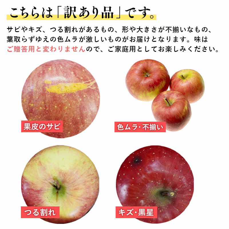 1月 訳あり 家庭用葉取らずサンふじりんご 約10kg【森山商店・青森県産・青森りんご・1月】