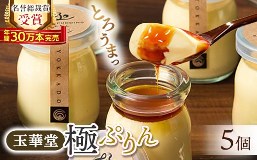 ＜名誉総裁賞受賞＞とろける玉華堂の極ぷりん5個入_ プリン スイーツ 洋菓子 菓子 おやつ おかし 玉華堂 極ぷりん 冷蔵 おすすめ 人気 送料無料 贈答 ギフト プレゼント 【1560979】