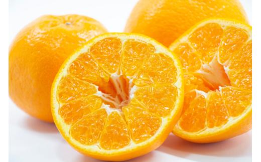 【先行予約】【お試し！】Saito Orange Farmの不知火4kg ※離島への配送不可（2026年2月下旬頃より順次発送） 【 ふるさと納税 人気 おすすめ ランキング みかん ミカン 蜜柑 柑橘 不知火 しらぬい フルーツ 果物 産地直送 お試し Saito Orange Farm 愛媛県産 愛媛県 伊方町 送料無料 】 IKTAQ014